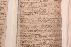 Page-151-Wongonk-land-laying-out-lots