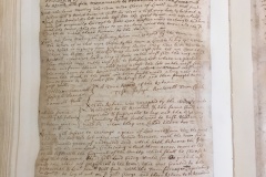 Page-242-OP135-No-indian-corn-in-commons