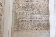 Page-249-OP142-Dispute-over-commons-Swine-being-ringed