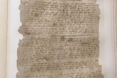 Page-297-Describing-who-owns-swamp-land